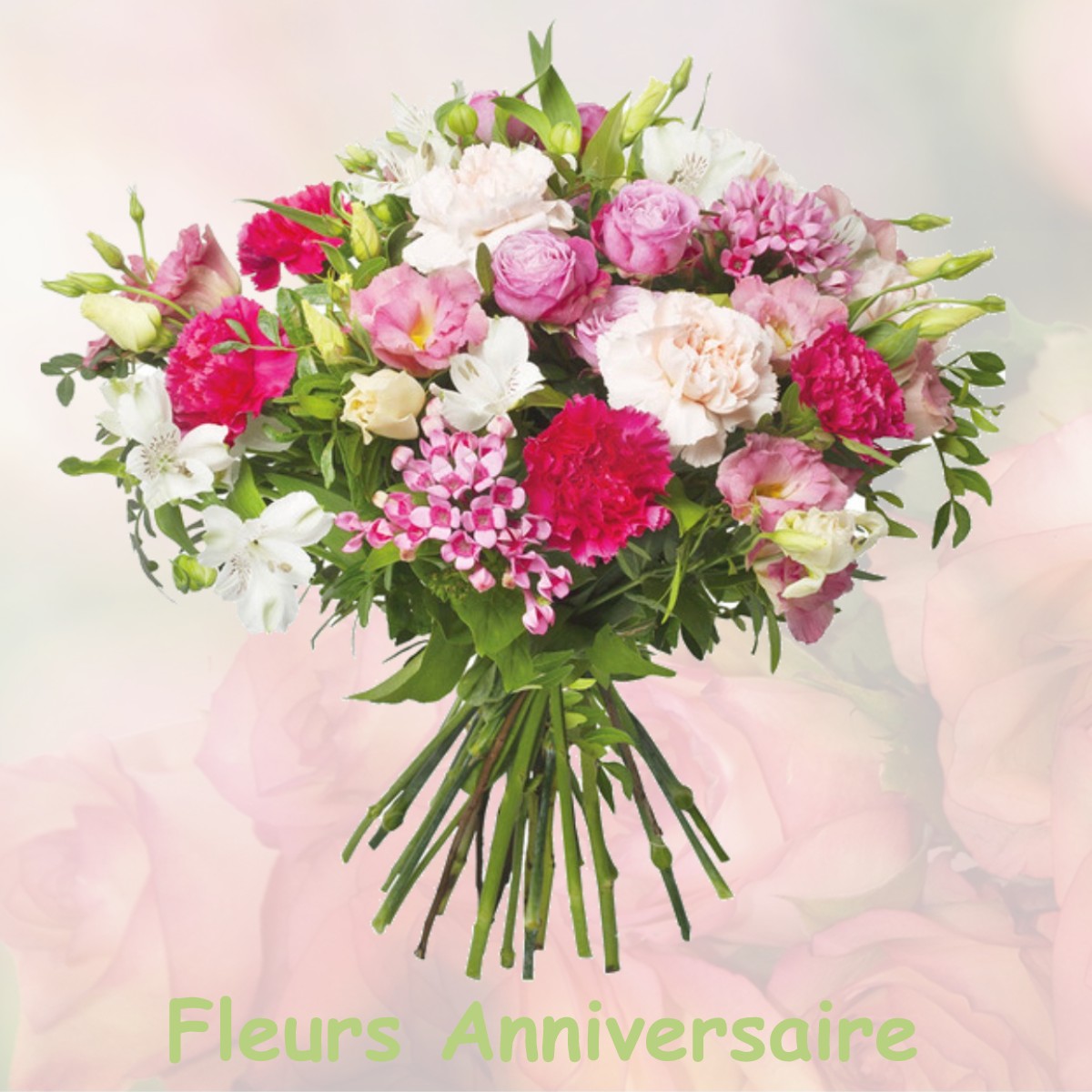 fleurs anniversaire AULNAY-L-AITRE