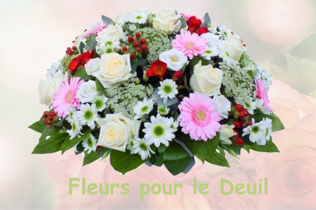 fleurs deuil AULNAY-L-AITRE
